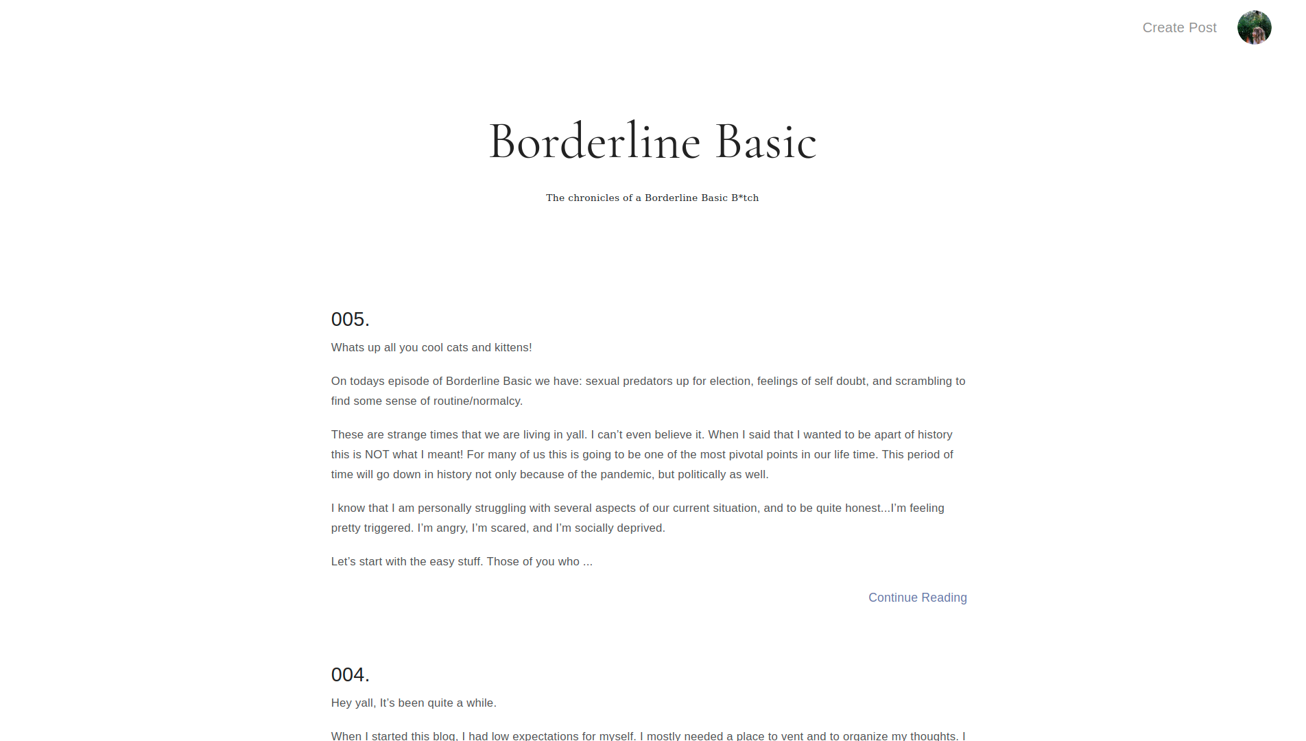 Borderline Basic blog application, a development project by Full Stack Developer Benjamin Chavez